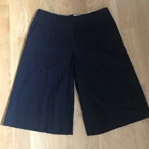 Theory silk shorts